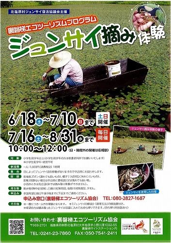 裏磐梯エコツーリズム協会「ジュンサイ取り」