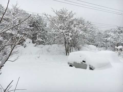 30〜40cmくらい降りました裏磐梯