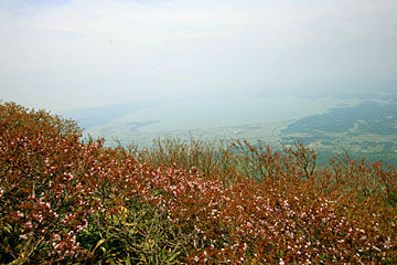 IMG_0976