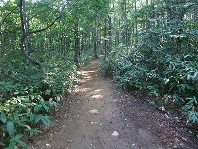 DSCF0005