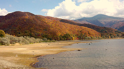 裏磐梯桧原湖紅葉情報