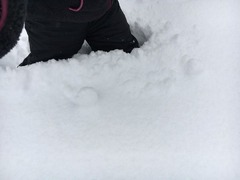 大雪の後 裏磐梯