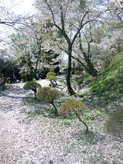 SH3I0139