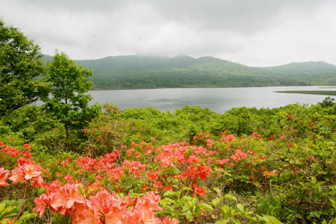 ͺ���2010613