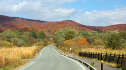 裏磐梯桧原湖紅葉情報