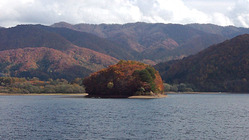 裏磐梯桧原湖紅葉情報