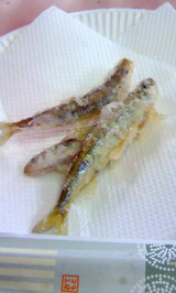 桧原湖わかさぎ釣りから揚げ