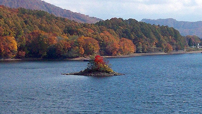 裏磐梯桧原湖紅葉情報
