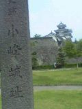 05-06-20_09-35.jpg
