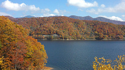 裏磐梯桧原湖紅葉情報