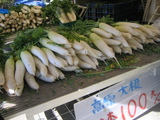 �纬
