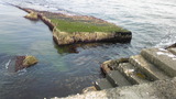 020059c1.jpg