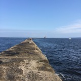 IMG_2326