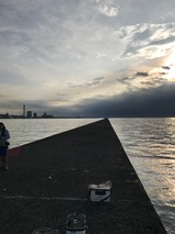 IMG_0586