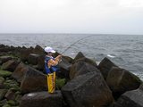 海ホ