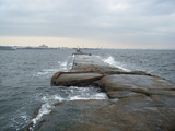 2011_10020001