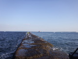 DSCF3645