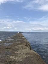 IMG_0725