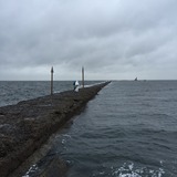 IMG_2322