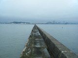 2011_06120005