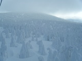樹氷全景