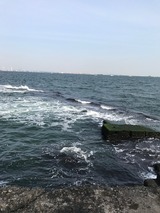 IMG_0329
