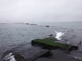 DSCF3664