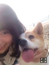 ちっぷ4