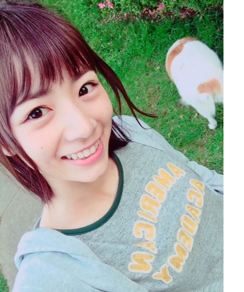 チップ8