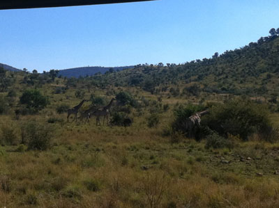 photo06