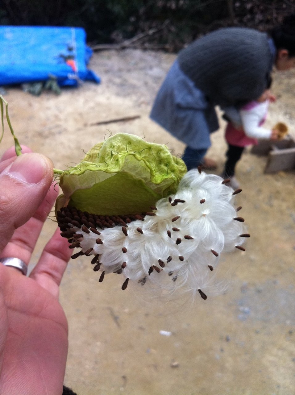 photo01