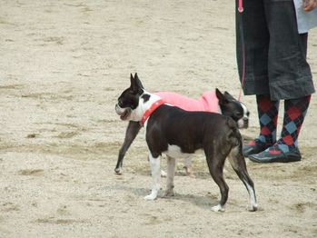 DSCF0026_R