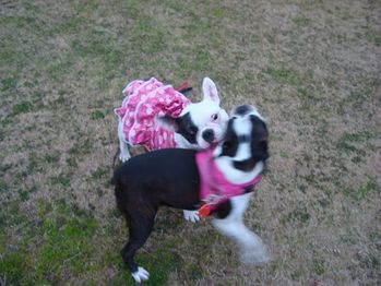 DSC07576_R