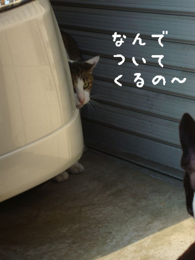 BlogPaint