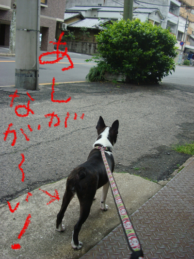 BlogPaint