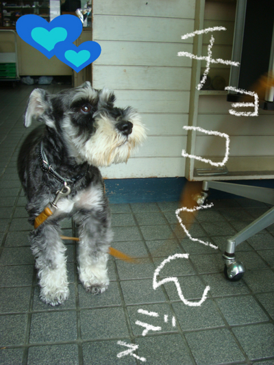 BlogPaint