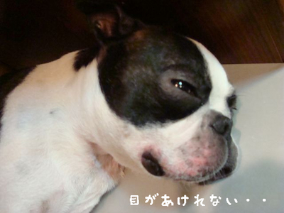 BlogPaint