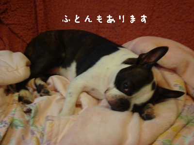 BlogPaint