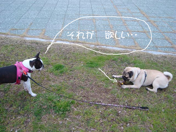 BlogPaint