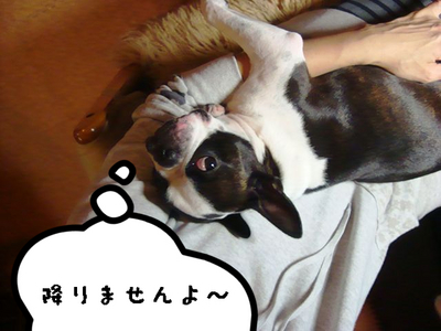 BlogPaint