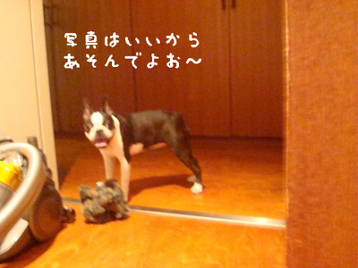BlogPaint