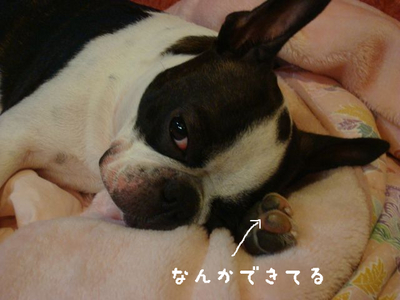 BlogPaint