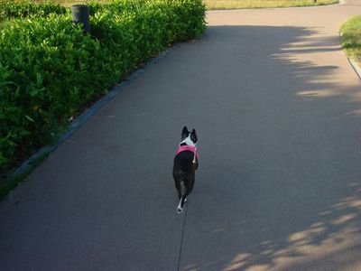 DSC04713_R