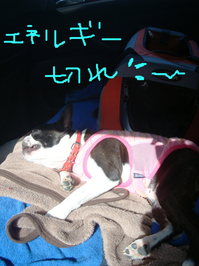 BlogPaint