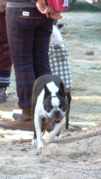 DSC00475_R