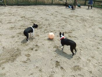 DSCF0009_R