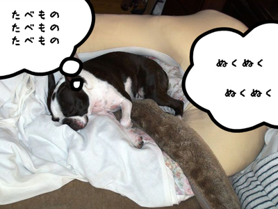 BlogPaint