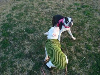 DSC07544_R