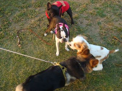 DSC05730_R