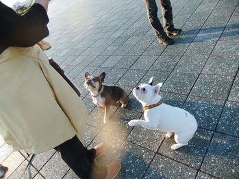 DSCF0133_R